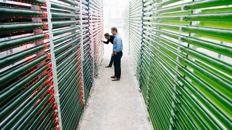 Two men look at coils