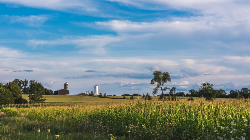 A farm in green pastures