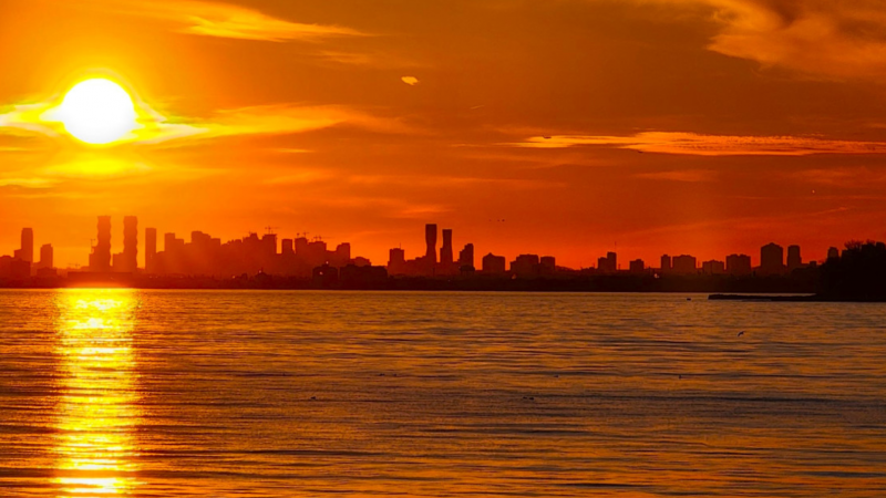 City of Mississauga